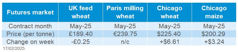 Grains futures 17 02 202572.jpg